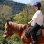 軽井沢の自然の中で動物と触れ合える癒しスポット4選