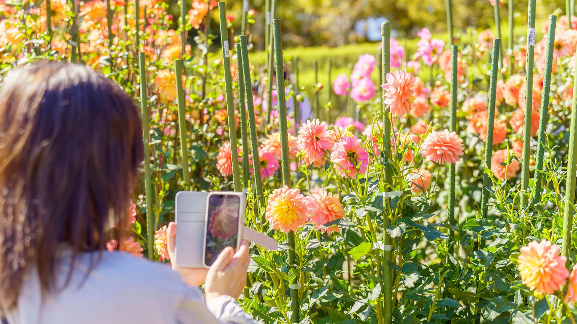 インスタ映え間違いなし♡軽井沢のおすすめフォトジェニックスポット8選