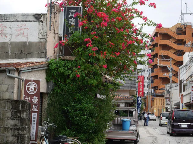 【壺屋やちむん通り】沖縄の美を映す陶器のお洒落な小路。一歩足を踏み入れると開く陶器の世界