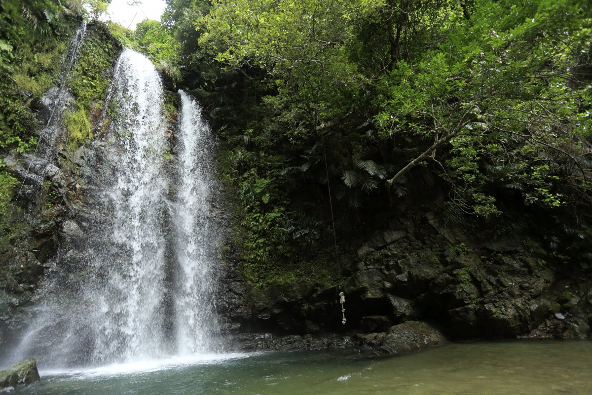 【ター滝】沖縄大宜味村に潜む穴場絶景、ター滝へのトレッキングガイド