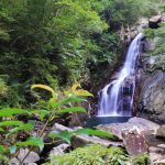 滝や池など！沖縄県で自然を満喫できるおすすめ人気スポット7選