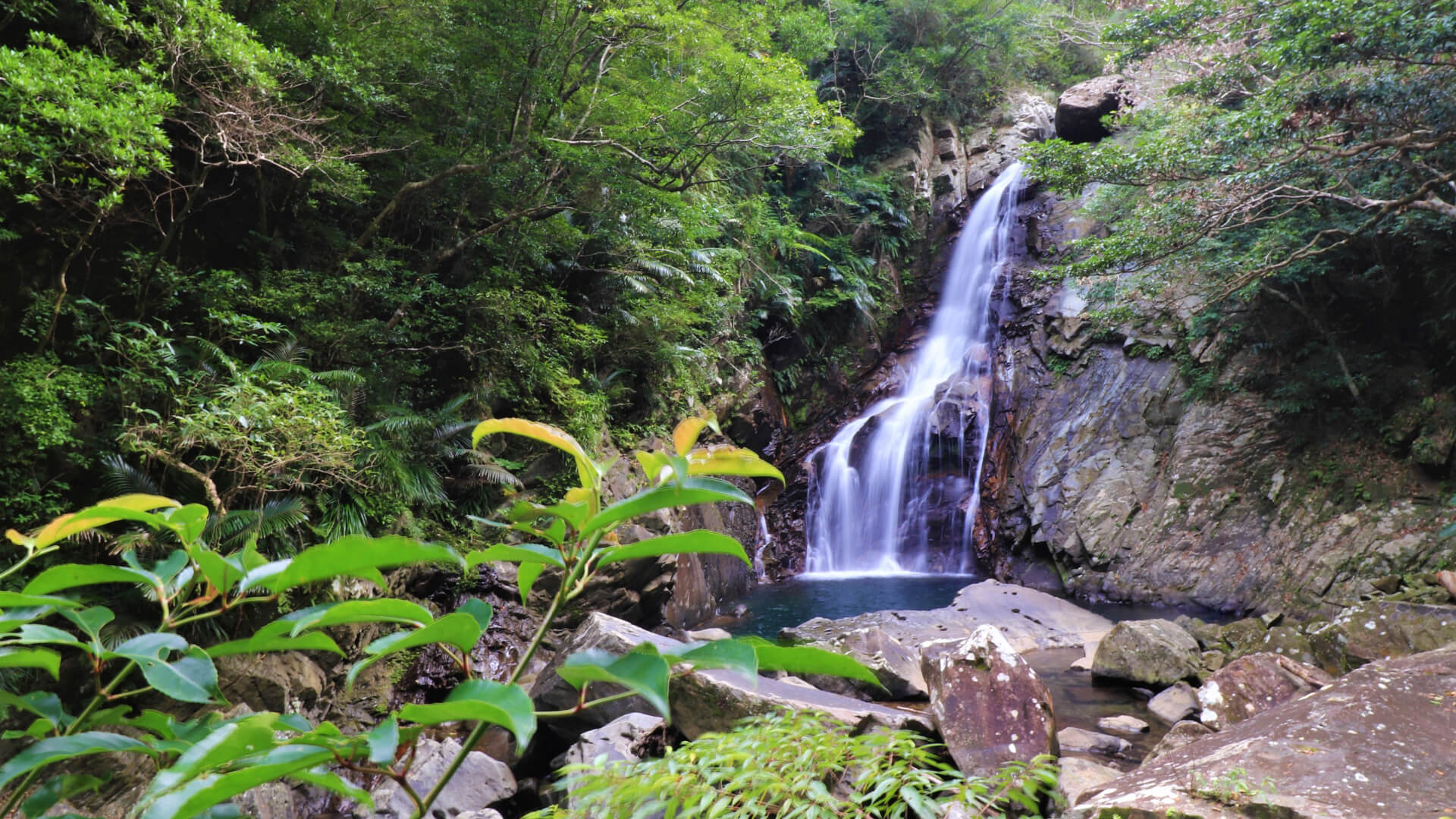 滝や池など！沖縄県で自然を満喫できるおすすめ人気スポット7選