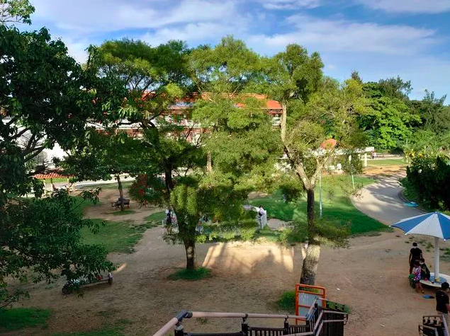 【奥武山公園】心と体を癒す緑豊かなレクリエーションスポット