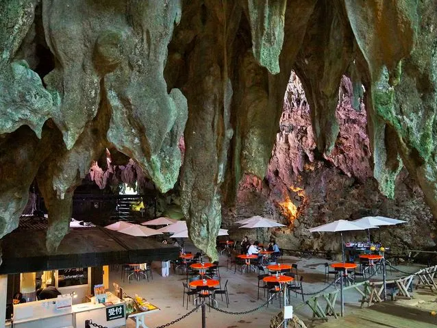 【ガンガラーの谷】沖縄の古代遺跡と大自然が織りなす谷を満喫！