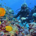 初心者も安心！スキューバダイビングができる沖縄県のおすすめの人気スポット10選