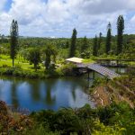 自然に触れて癒される♡沖縄のおすすめエンタメ施設6選