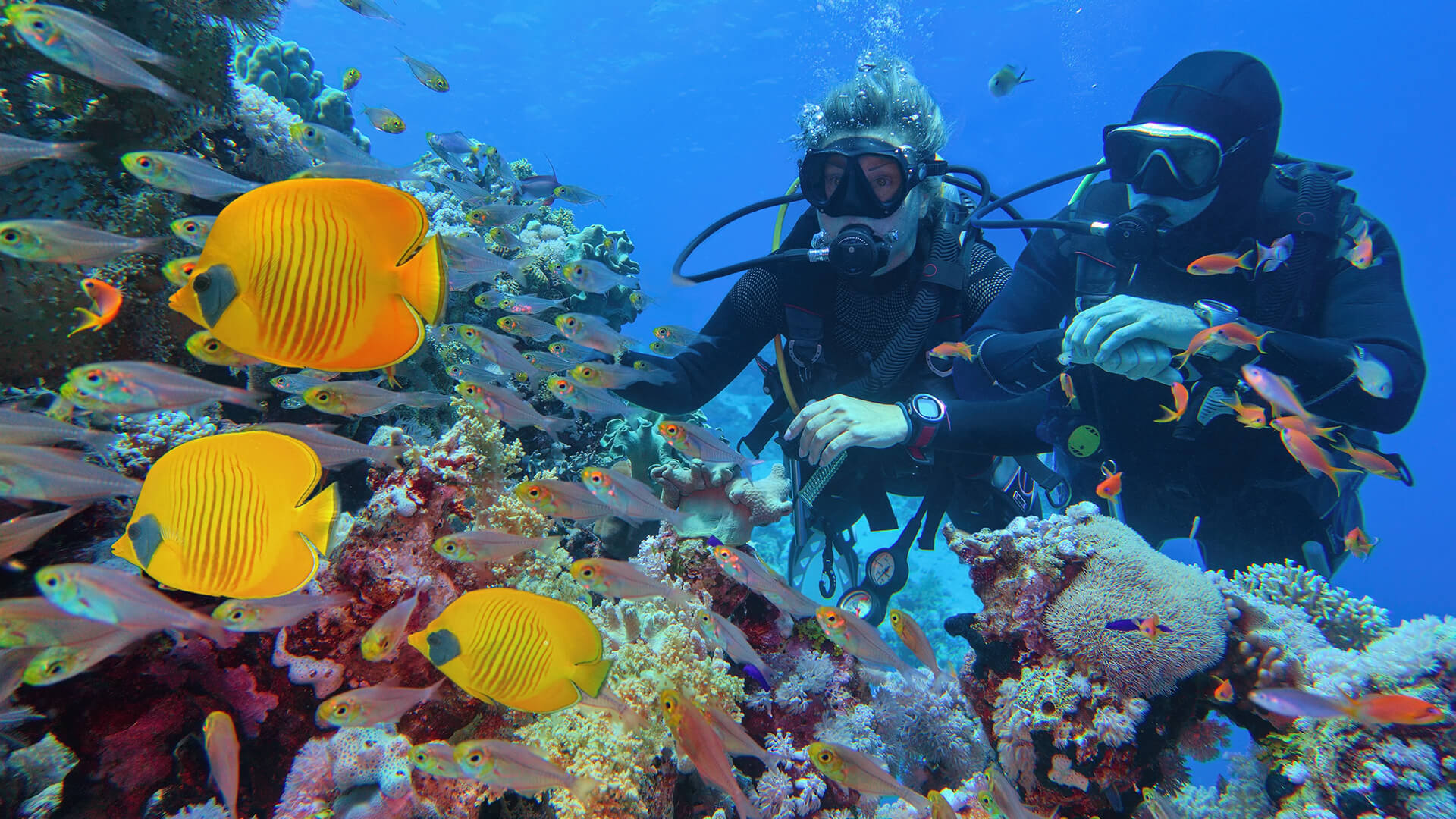 青の洞窟シュノーケリング