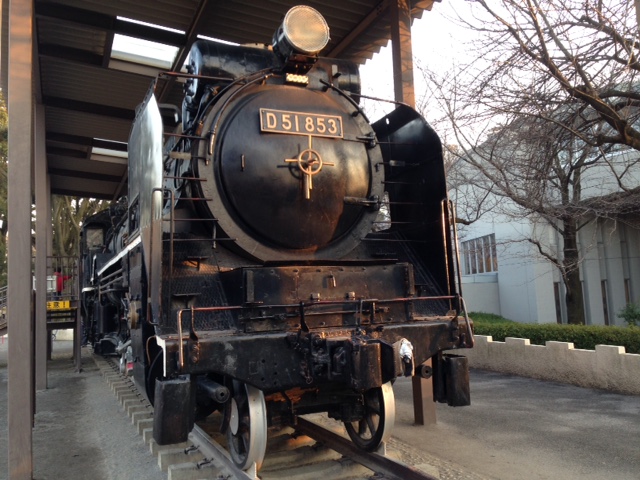 【飛鳥山公園】桜の名所と歴史的文化に触れる！遊びと学びが詰まった公園