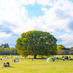 東京のおすすめの人気公園10選
