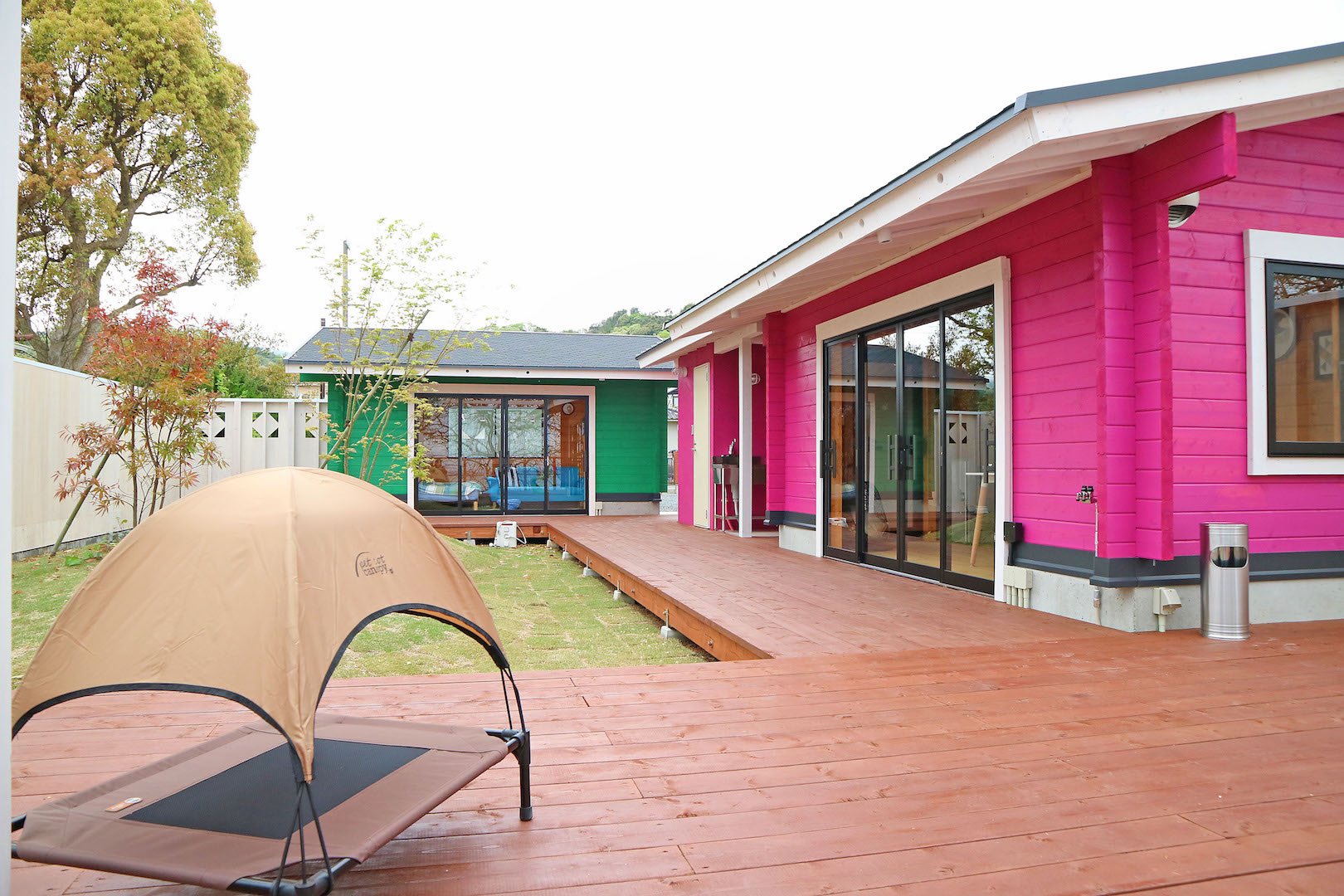 【ドッググランピング京都天橋立】愛犬の笑顔が輝く！広々ドッグランと露天風呂