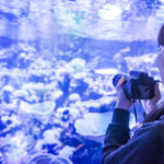 暑い夏も涼しく過ごせる沖縄のおすすめ人気スポット11選