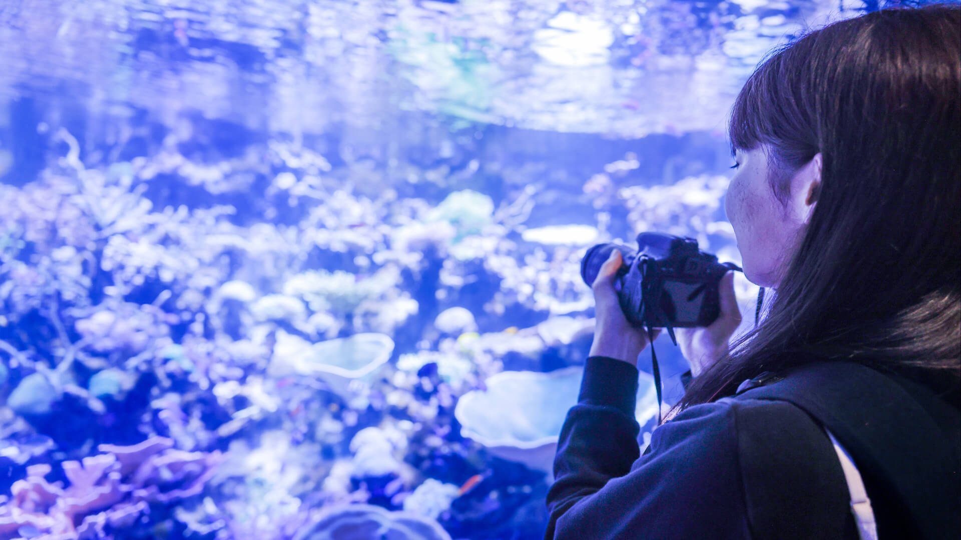 暑い夏も涼しく過ごせる沖縄のおすすめ人気スポット11選