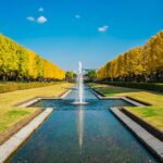 東京の秋の紅葉を楽しめるおすすめスポット7選