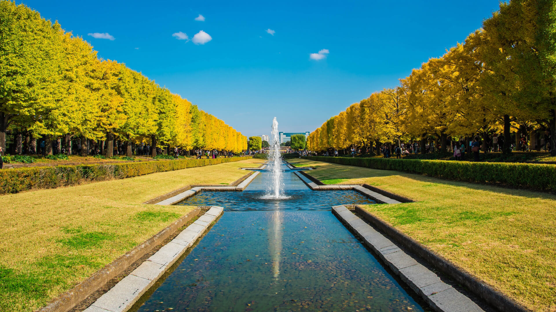 東京の秋の紅葉を楽しめるおすすめスポット7選