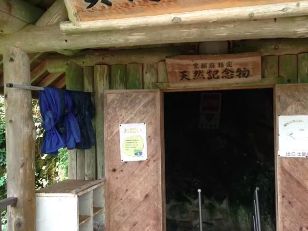 【質志鐘乳洞公園】京都の自然と歴史を体感！地底の涼しさを満喫できる冒険場所