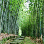 京都のおすすめの人気公園7選