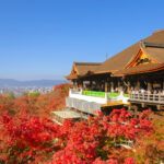 京都のおすすめの人気寺院13選