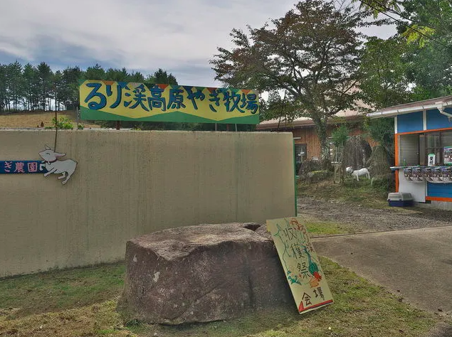【るり渓高原やぎ牧場】新鮮なヤギ乳製品が味わえる！心と体が癒される牧場体験