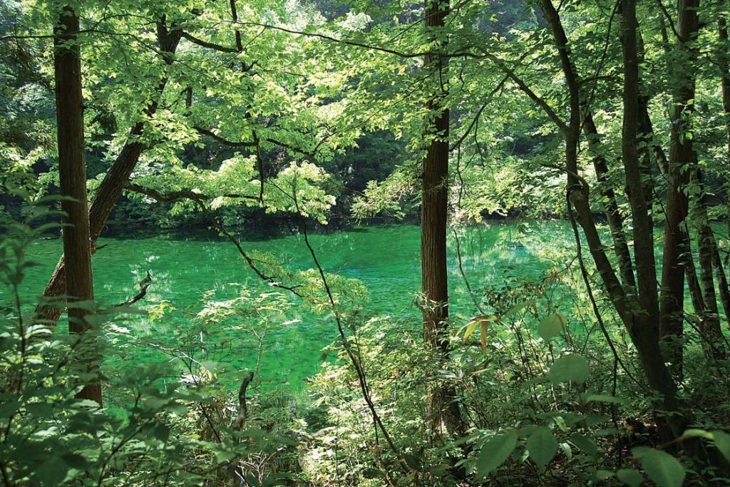 【龍ヶ窪】龍神が宿ると伝わる水辺！四季の美を堪能する静寂のひとときを過ごす