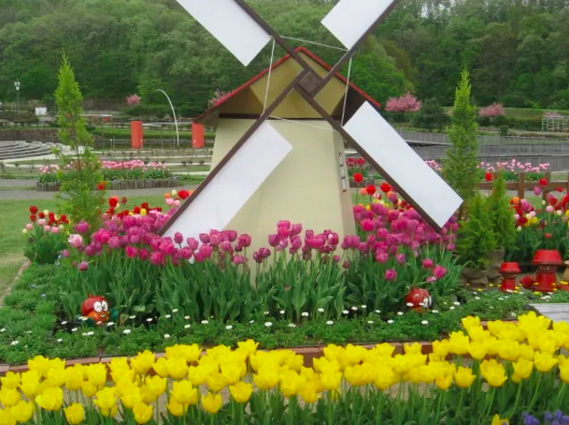 【国営越後丘陵公園】四季折々の風景とアクティビティが楽しめる長岡の公園の魅力