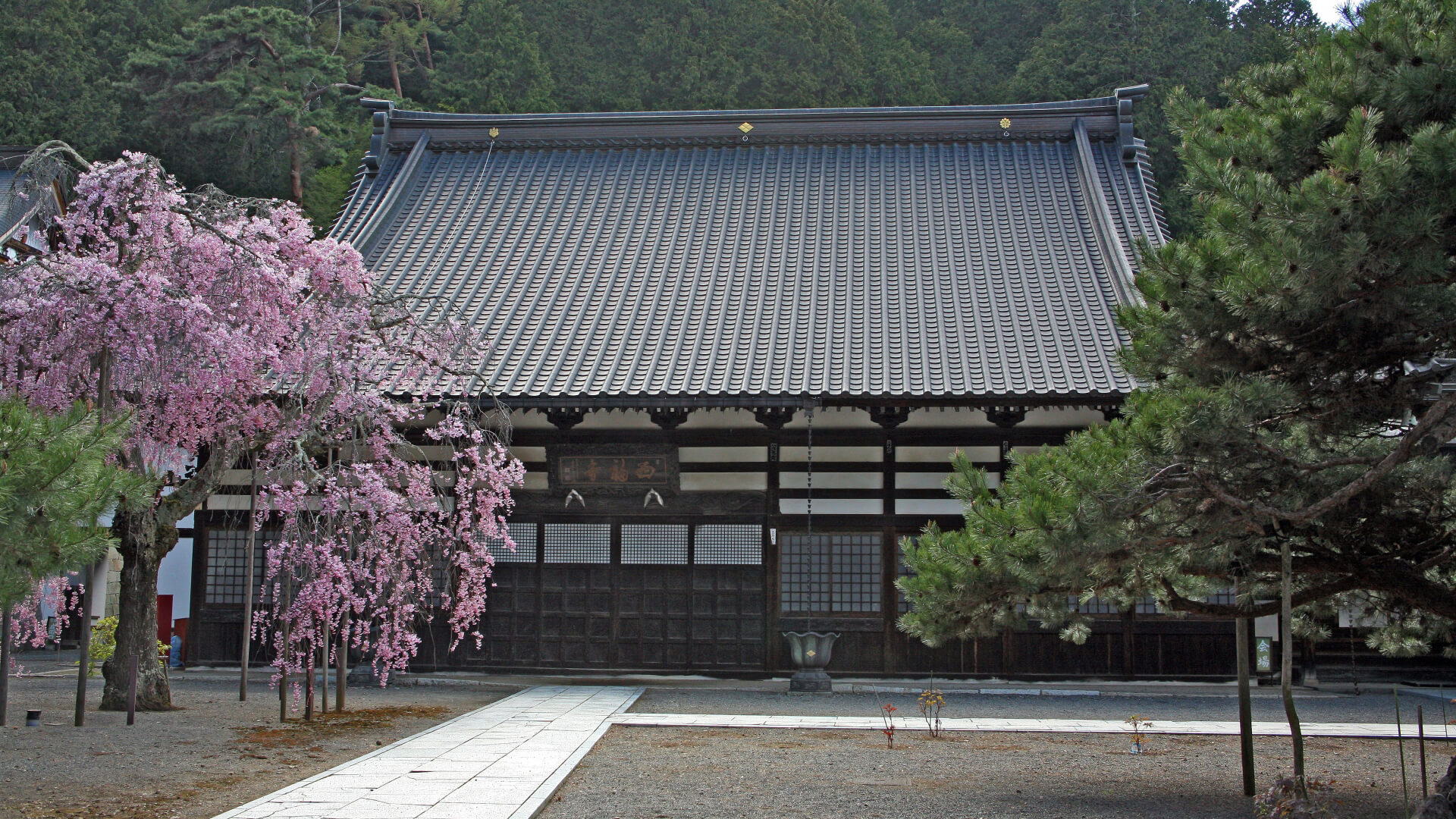 新潟のおすすめの人気寺院5選