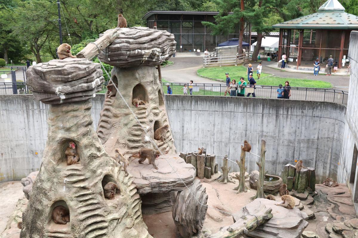 【長岡市悠久山小動物園】長岡で見つけた無料で遊べる動物園と芝生広場