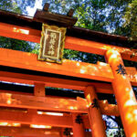 京都・伏見のおすすめの人気観光スポット5選