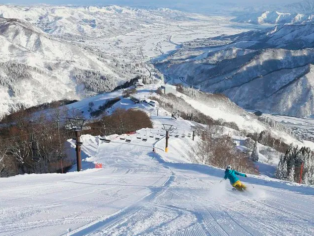 【湯沢高原スキー場】初心者も上級者も大満足！雪山アクティビティを堪能