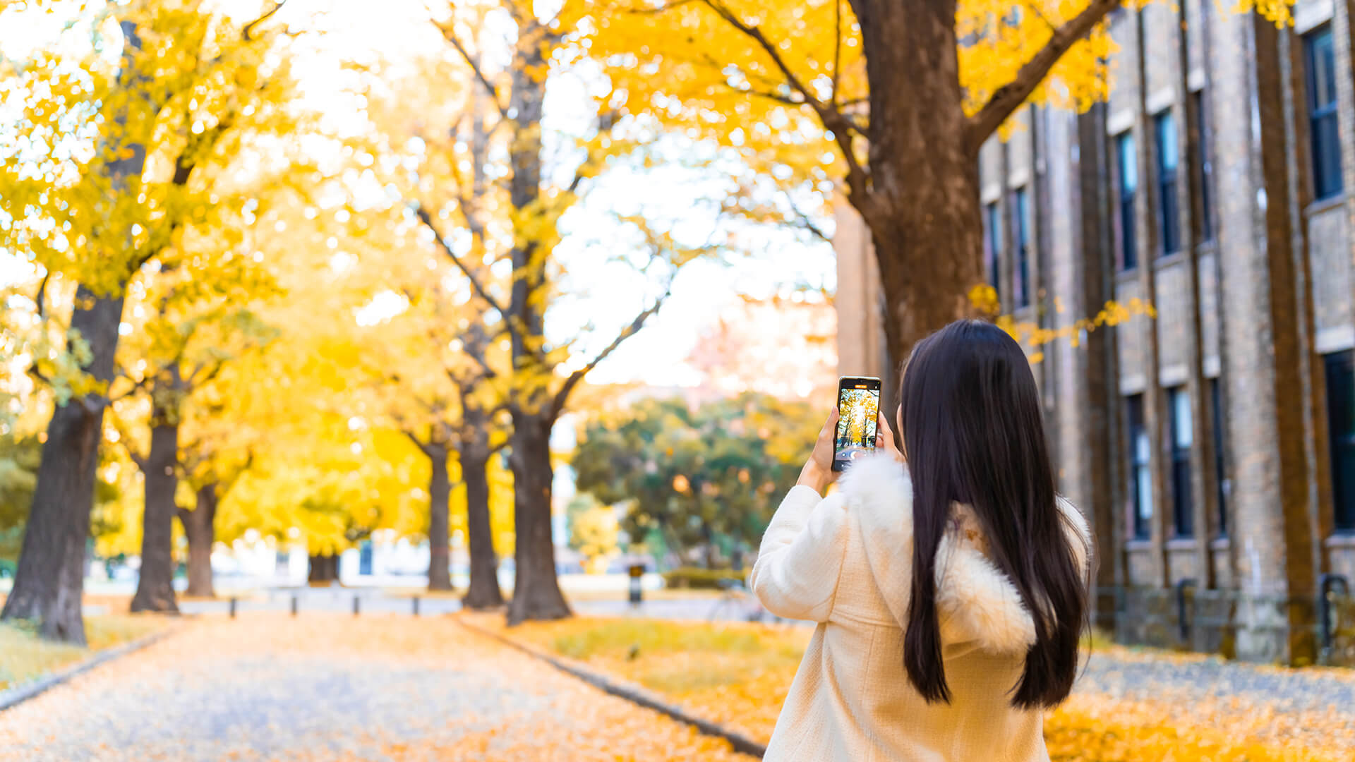 東京観光で自然を楽しむ1泊2日モデルコース