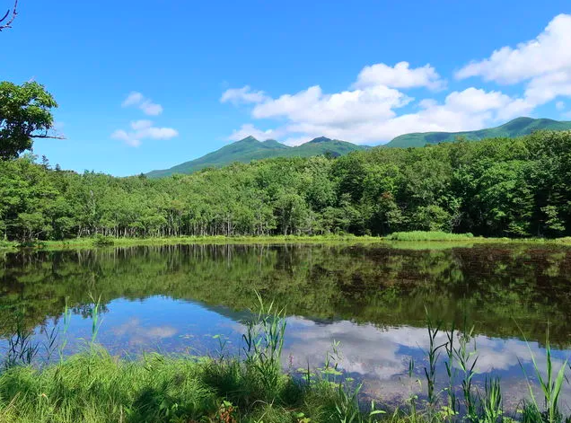 【知床五湖】世界自然遺産に登録！湖面に映る絶景と森の息吹に触れる