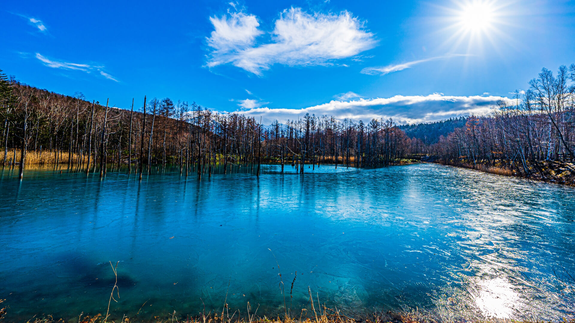 北海道のおすすめの人気自然スポット13選