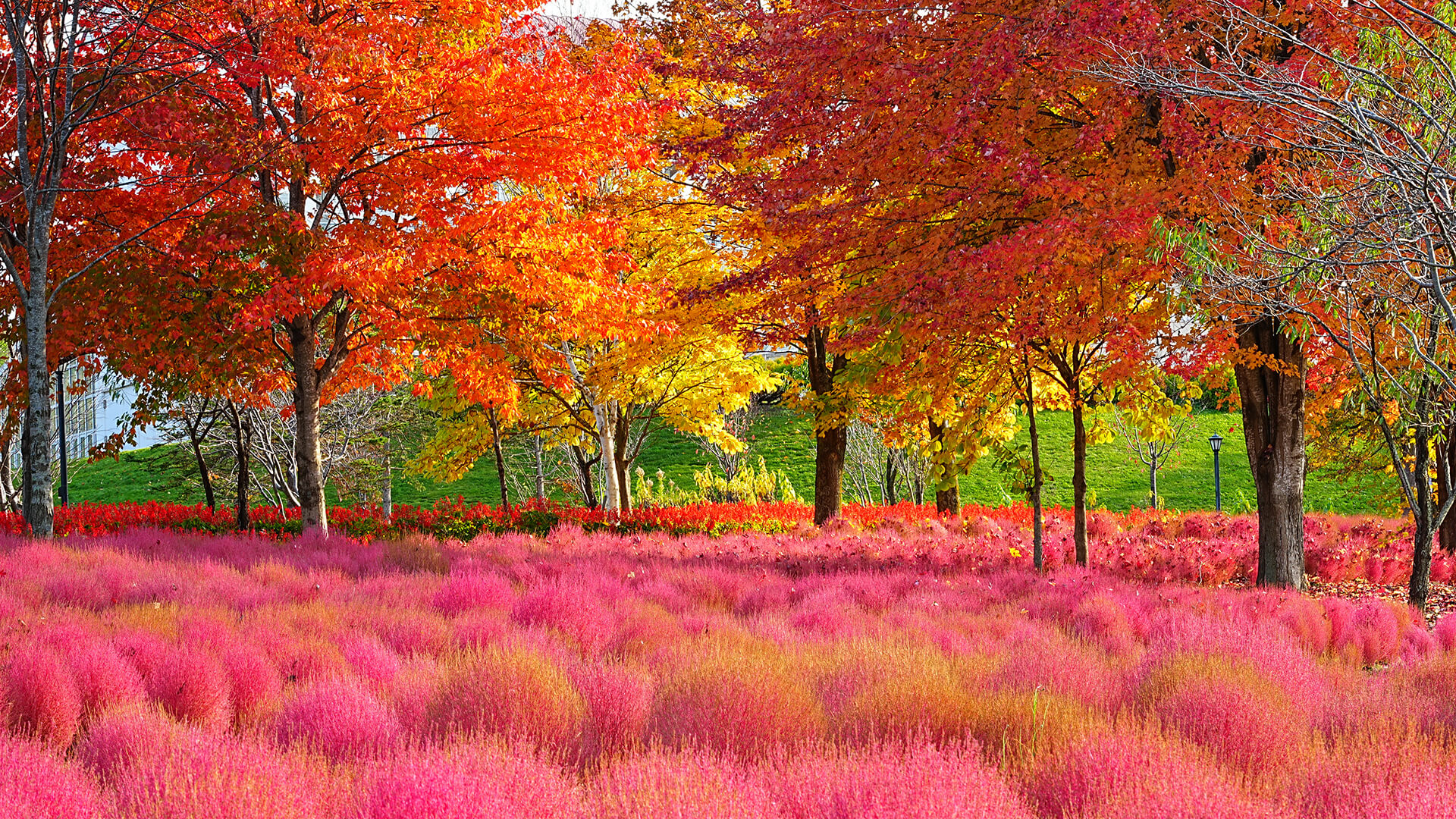 北海道のおすすめの人気庭園5選