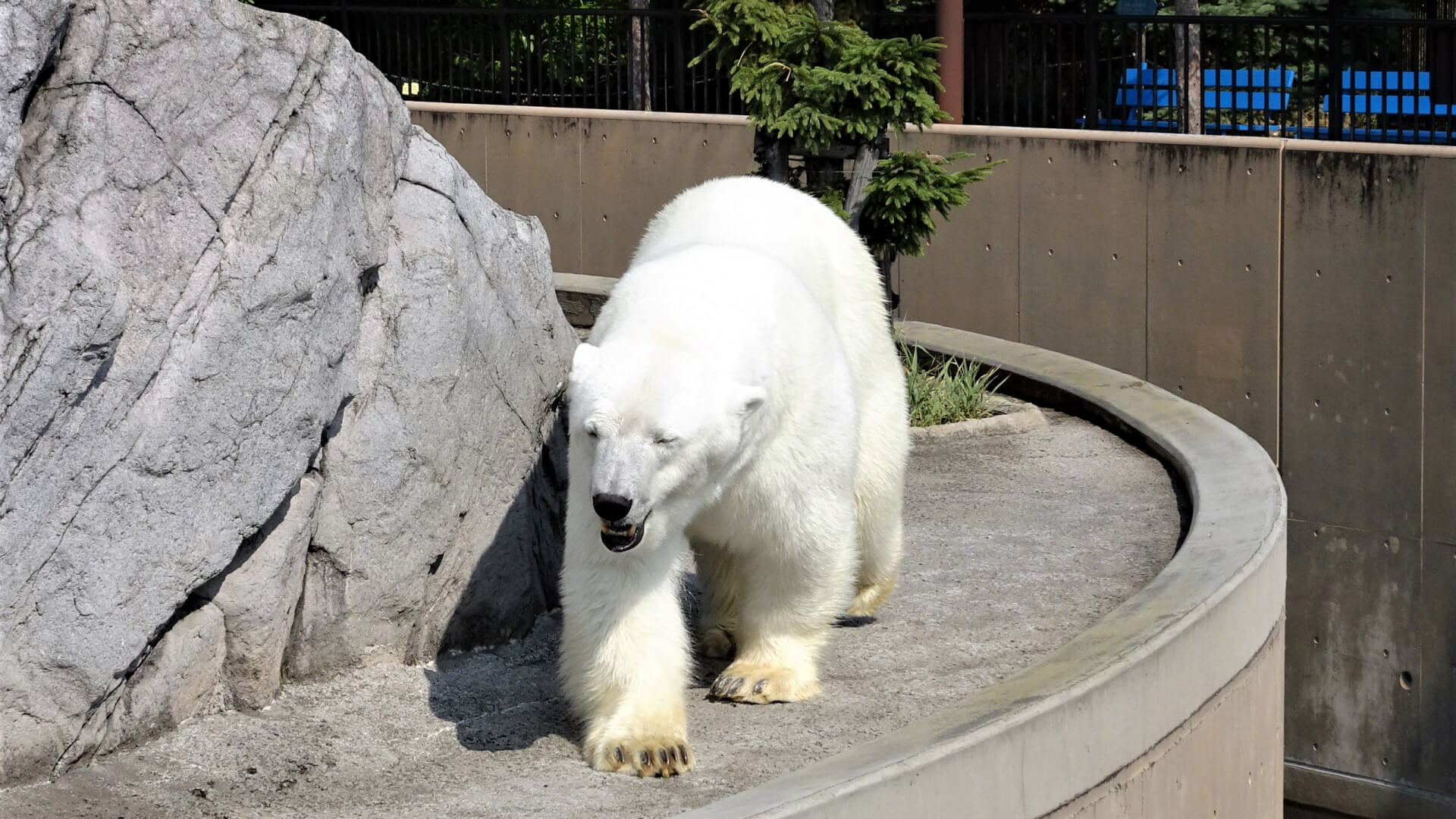 北海道のおすすめの人気動物園5選