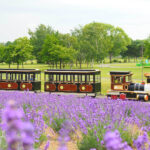 北海道のおすすめの人気エンタメ施設7選