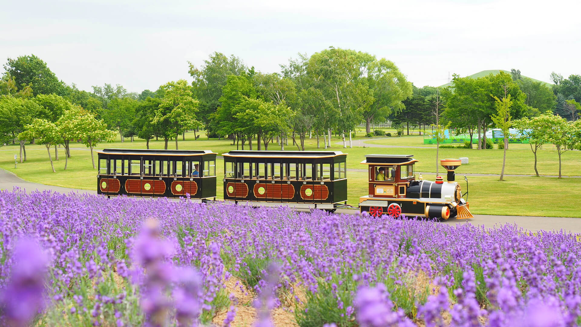 北海道のおすすめの人気エンタメ施設7選
