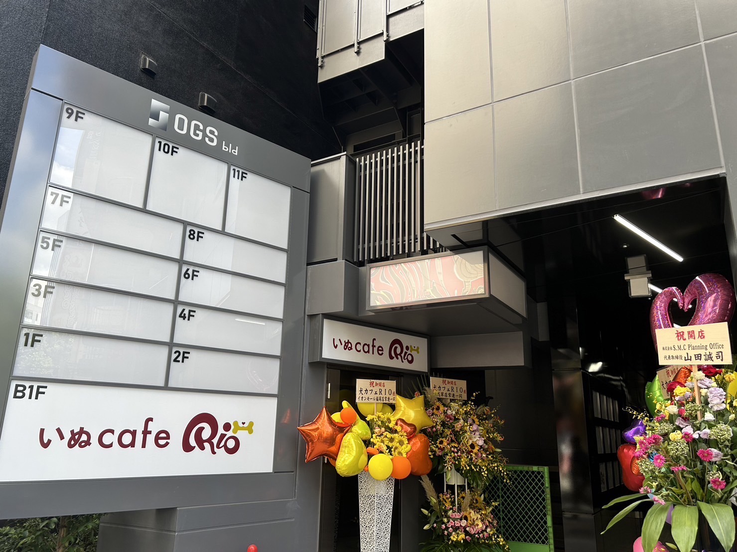 【いぬカフェRio 池袋店】かわいいワンちゃんが集まる犬カフェで癒しの時間を