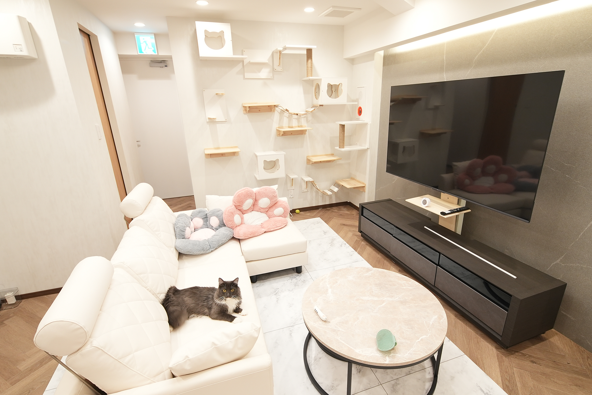 【個室猫カフェMAOMAO】ウェルカムドリンクが嬉しい♡完全個室で猫と過ごせる贅沢なカフェ