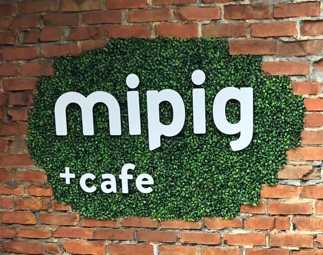 【mipig cafe 原宿店】三匹のこぶたの世界へ！原宿で楽しむマイクロブタ専門カフェ
