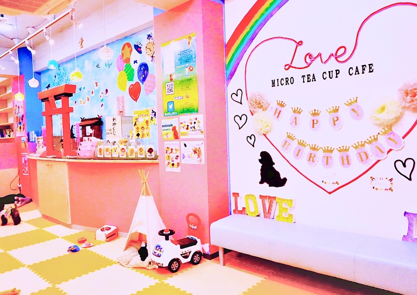 【マイクロティーカップカフェ】初心者も安心！豆柴＆プードルとまったり過ごせるドッグカフェ