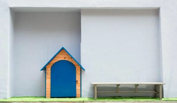 【HUSKY CAFE TOKYO】ハスキー好き必見！東京唯一のハスキー専門カフェ