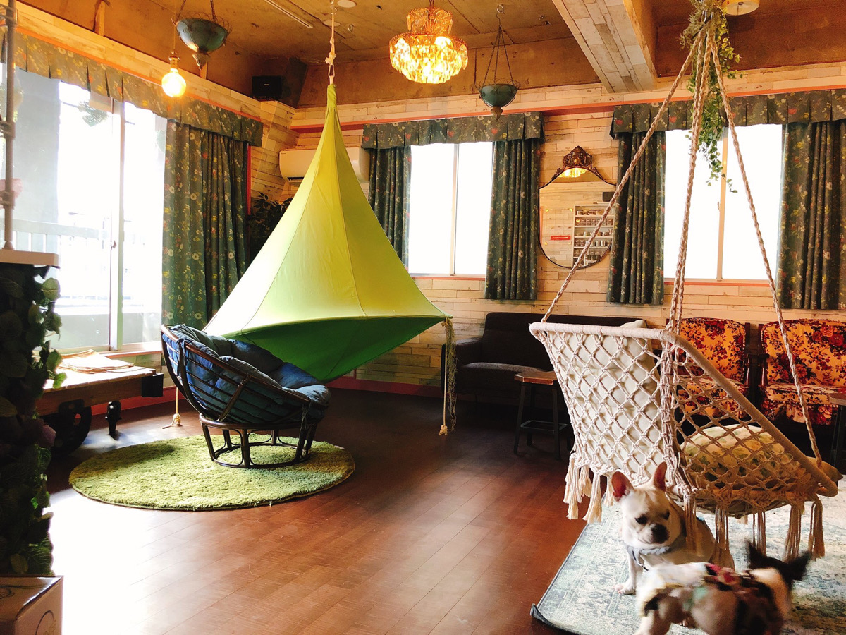 【PUCAPUCA 新宿小滝橋通り店】カフェ利用も◎ベッドに寝転びながらシーシャを楽しむ贅沢体験