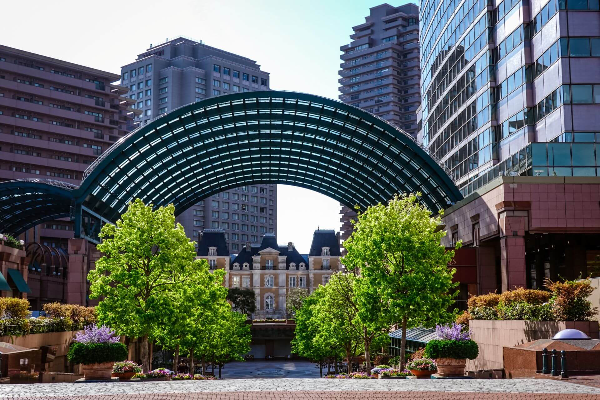 【2025年最新版】駅チカ＆おしゃれ！恵比寿の人気ランチスポットを完全網羅