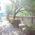 【最新版】中目黒カフェ24選！夜カフェ・テラス席・ランチも網羅した完全ガイド