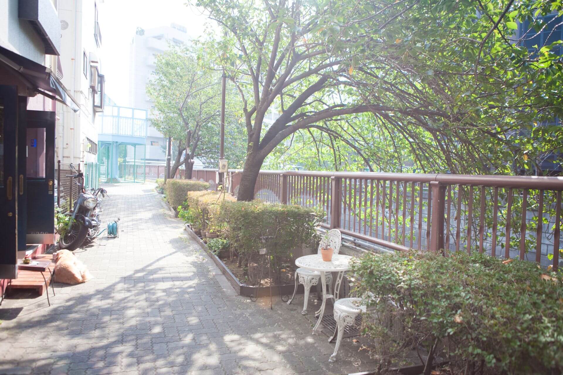 【最新版】中目黒カフェ24選！夜カフェ・テラス席・ランチも網羅した完全ガイド