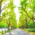 外苑前・青山一丁目・北参道のおすすめおしゃれランチ20選