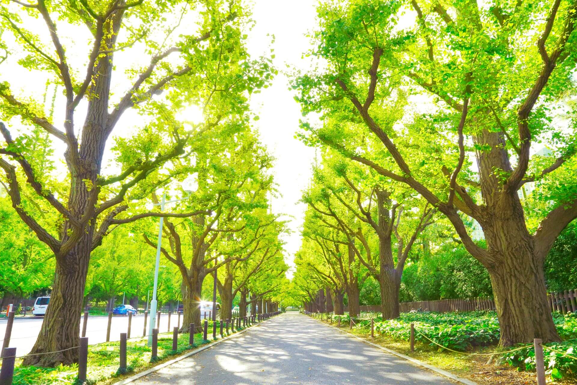 外苑前・青山一丁目・北参道のおすすめおしゃれランチ20選