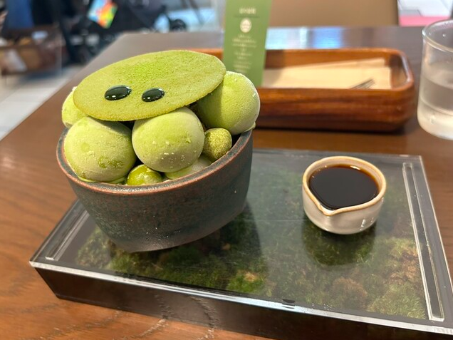 【数量限定】京の盆栽