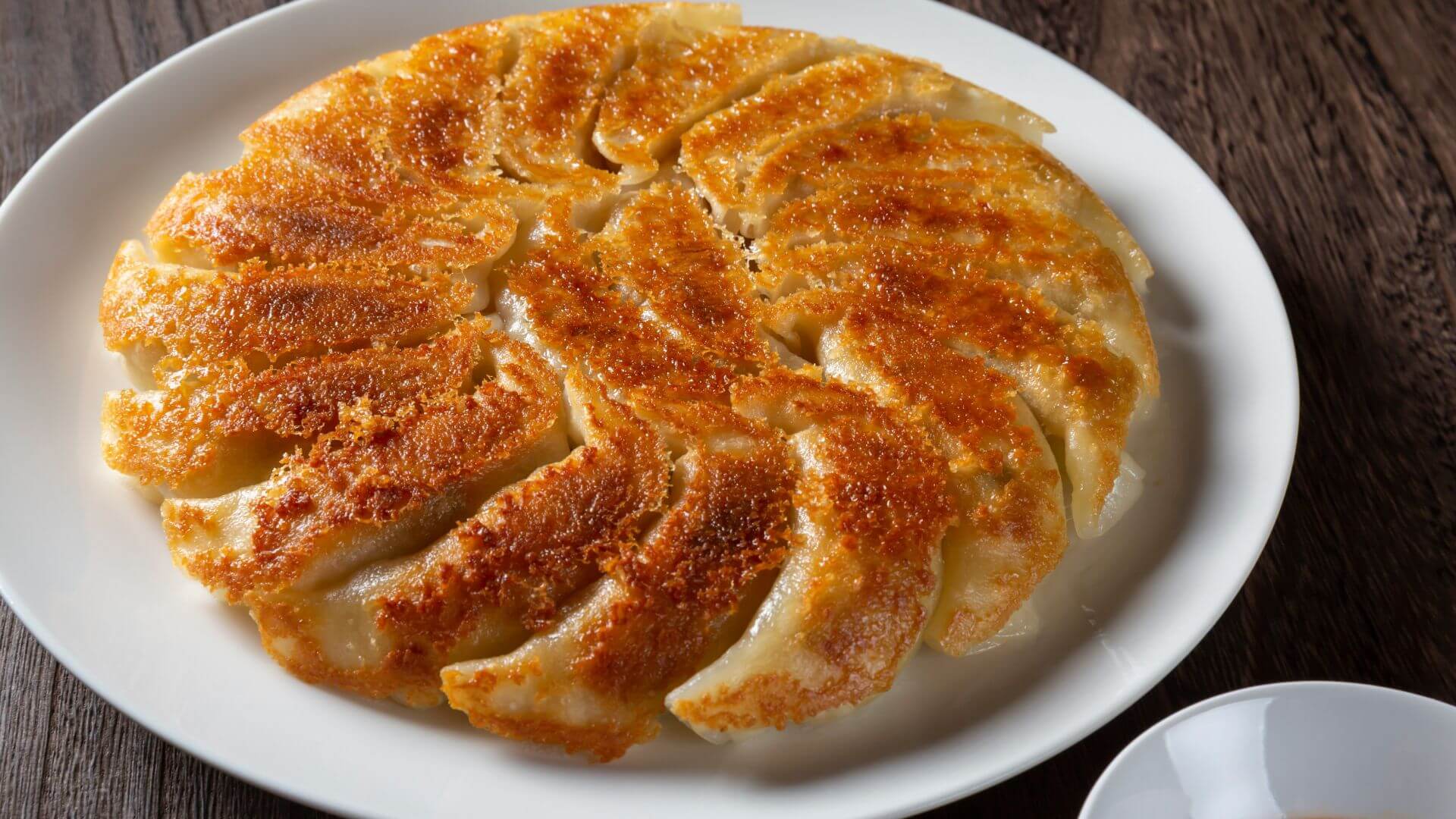 【行くならここ】福島市の円盤餃子12選｜名物を気軽に楽しめる地元の名店&人気店まとめ