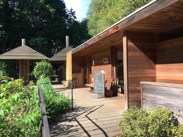 【KITOKURAS cafe】無垢材の香る空間で味わう自然派キーマカレーの魅力