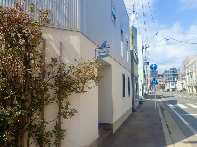 【猫ノ巣】癒し空間♡猫がいる空間で味わう丁寧なビーフシチュー